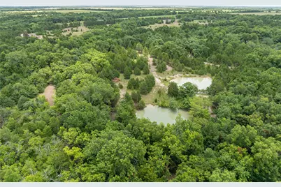 Tbd Tract 8 Cr 2997, Honey Grove, TX 75446 - Photo 13