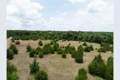 Tbd Tract 8 Cr 2997, Honey Grove, TX 75446 - Photo 9