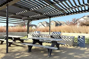 3309 Peacock Ln, Celina, TX 75009 - Photo 29