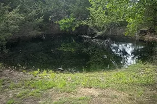 995 School House Rd, Forestburg, TX 76239 - Photo 15