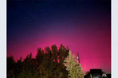 995 School House Road, Forestburg, TX 76239 - Photo 17