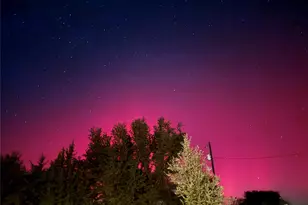 995 School House Rd, Forestburg, TX 76239 - Photo 17