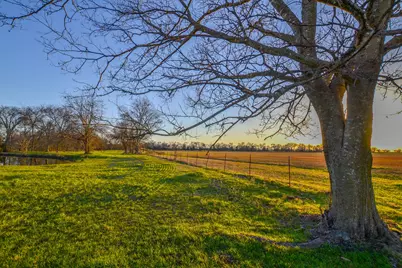 1392 E US Highway 69, Point, TX 75472 - Photo 1