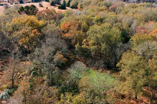 12637 State Hwy 19 N, Athens, TX 75752 - Photo 25