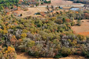 12637 State Hwy 19 N, Athens, TX 75752 - Photo 27