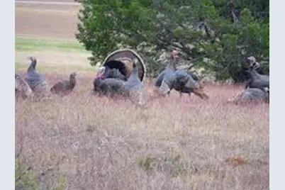 38037 Brookside Drive, Whitney, TX 76692 - Photo 7