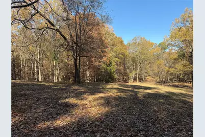 2777 County Road 4875, Pittsburg, TX 75686 - Photo 29