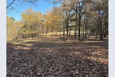 2777 County Road 4875, Pittsburg, TX 75686 - Photo 9