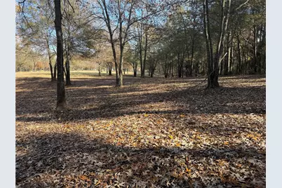 2777 County Road 4875, Pittsburg, TX 75686 - Photo 11