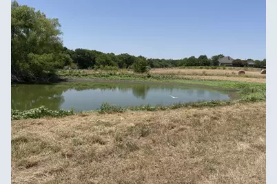 11321 Wild Rose Lane, Anna, TX 75409 - Photo 9