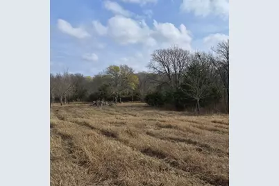 1386 Palmyra Road, Palmer, TX 75152 - Photo 17