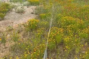 12550 Co Rd 136, Breckenridge, TX 76470 - Photo 7