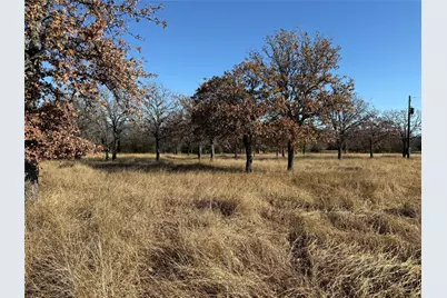 Tbd Private Road 1403 Road #1403, Morgan, TX 76671 - Photo 9