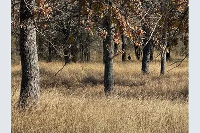 Tbd Private Road 1403 Road #1403, Morgan, TX 76671 - Photo 11