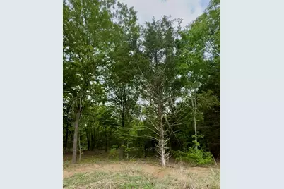 Lot 4 Slate Rock Road, Ennis, TX 75119 - Photo 7