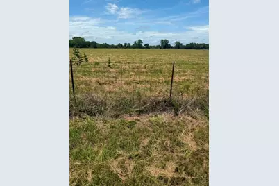 000 Vz County Rd 4406, Ben Wheeler, TX 75754 - Photo 5