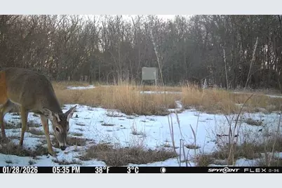 2129 County Road 2130, Cooper, TX 75432 - Photo 29