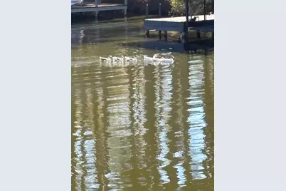 16729 Malibu Drive #30, Flint, TX 75762 - Photo 15