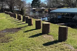 16729 Malibu Dr, Flint, TX 75762 - Photo 17