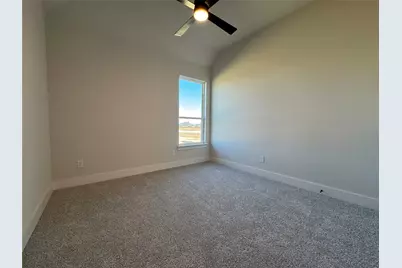 100 Mikasi, Godley, TX 76044 - Photo 13