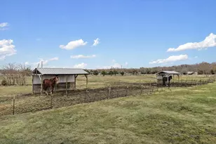 4511 Private Rd 1172, Greenville, TX 75401 - Photo 7