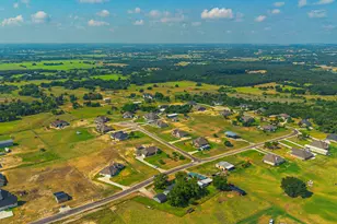 105 Kathy Stephens Ave, Springtown, TX 76082 - Photo 5