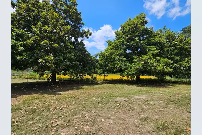 1018 An County Road 2301, Tennessee Colony, TX 75861 - Photo 23
