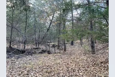 Tbd N Cr 1200, Athens, TX 75751 - Photo 9