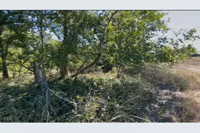 Tbd County Road 4060, Kerens, TX 75144 - Photo 5
