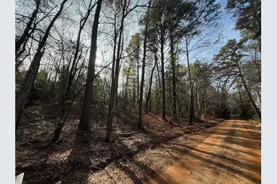 Tbd Cr 2733, Marietta, TX 75566 - Photo 3