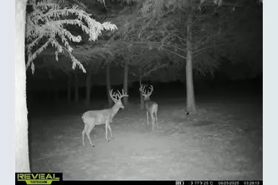 803-2 Westshore Drive, Saint Paul, TX 75098 - Photo 33