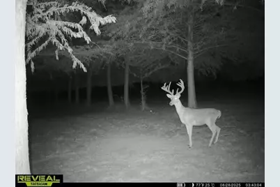 803-2 Westshore Drive, Saint Paul, TX 75098 - Photo 39