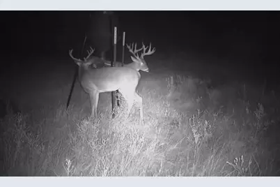 207 Possom Trot Hollow Road, Whitewright, TX 75491 - Photo 11