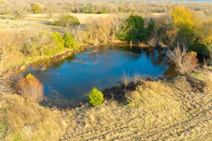 1495 Vz Cr 3908, Wills Point, TX 75169 - Photo 23