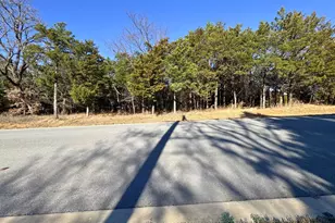 202 Pine Hills Ln, Gordonville, TX 76245 - Photo 1