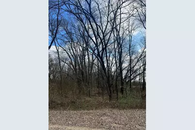 N/A Jackson Avenue, Roxton, TX 75477 - Photo 1