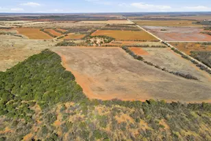 457 Co Rd 387, Merkel, TX 79536 - Photo 11