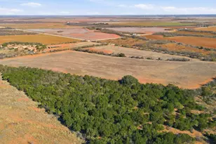 457 Co Rd 387, Merkel, TX 79536 - Photo 9