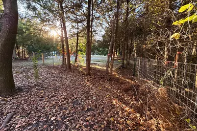 Tbd County Road 919 #Lot 23A, Nevada, TX 75173 - Photo 9