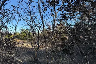 1763 Mathers Rd, Sunset, TX 76270 - Photo 11