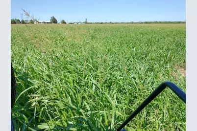 Tbd3 Cr 223, Clyde, TX 79510 - Photo 5