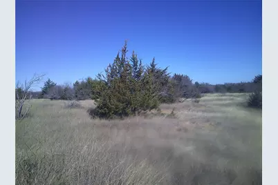 Tr 4W Cr 1750, Chico, TX 76431 - Photo 3