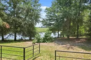 429 Private Rd 3398, Big Sandy, TX 75575 - Photo 7