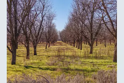 Lot 19 County Road 446, De Leon, TX 76444 - Photo 9