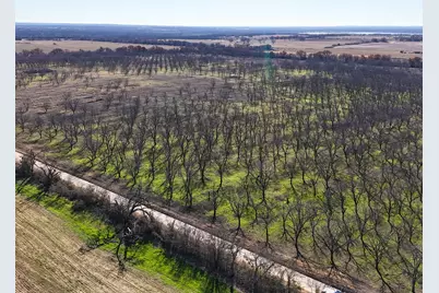 Lot 19 County Road 446, De Leon, TX 76444 - Photo 5