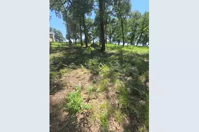 Lot 15R SE County Rd 2359B, Streetman, TX 75859 - Photo 33