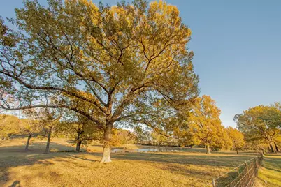 12575 Fm 3271, Tyler, TX 75704 - Photo 39