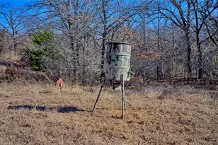 2860 Fm 2634, Nocona, TX 76255 - Photo 3