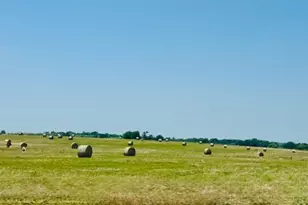 1220 Hinchliffe Rd, Mexia, TX 76667 - Photo 31