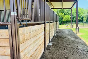 1220 Hinchliffe Rd, Mexia, TX 76667 - Photo 33